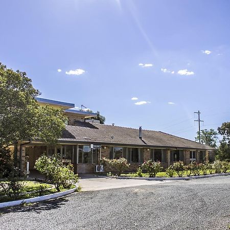 واجا واجا Allonville Gardens Motel المظهر الخارجي الصورة